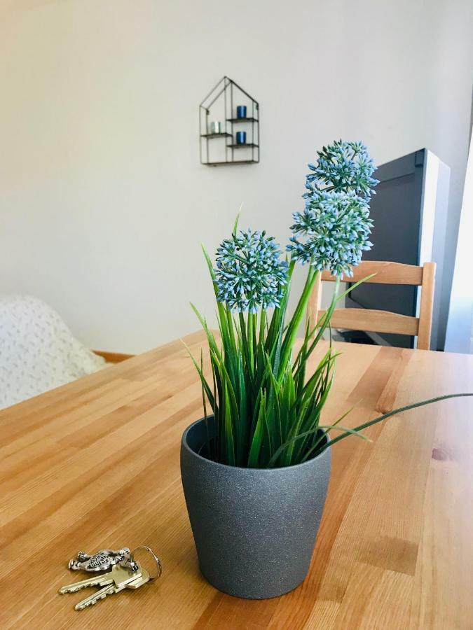 Apartment Mida Φράιμπουργκ Εξωτερικό φωτογραφία